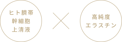 ヒト臍帯幹細胞上清液と高純度エラスチン
